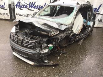 dañado camper Dacia Sandero Stepway 2018/8