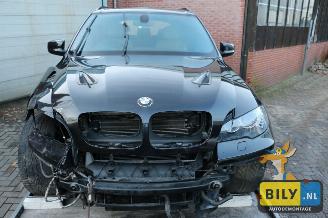 disassembly commercial vehicles BMW X5 E70 X5 M 2010/5